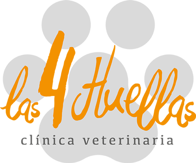veterinario en San Agustín del Guadalix