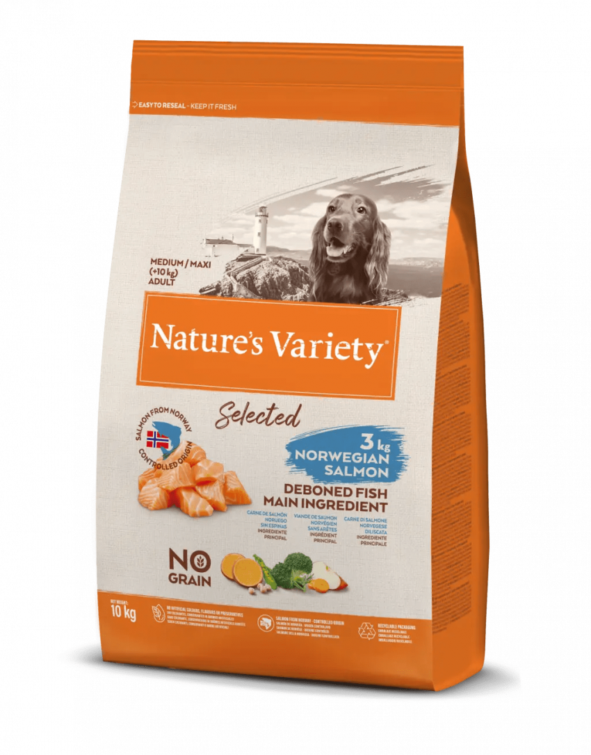 SELECTED MEDIUM/MAXI SALMON NORUEGO