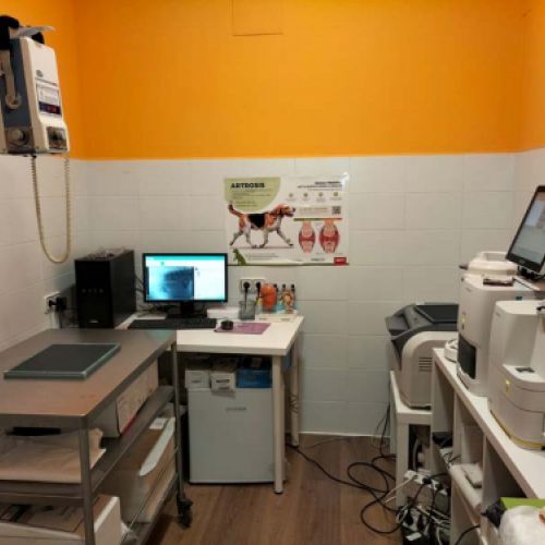 Vista general de la consulta veterinaria