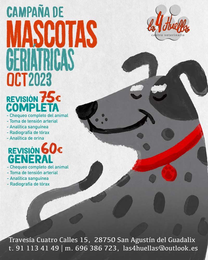 Chequeo de animales geriátricos