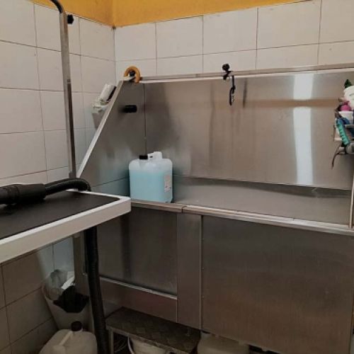 Zona de peluquería y lavado para la mascota