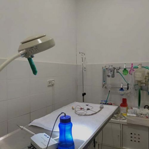 Zona de atención veterinaria