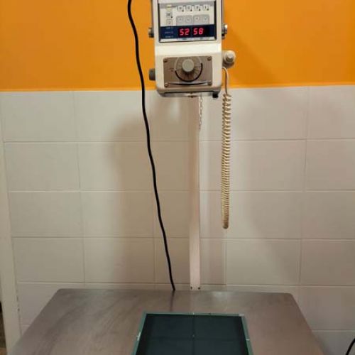 Aparatología de diagnóstico para consulta veterinaria