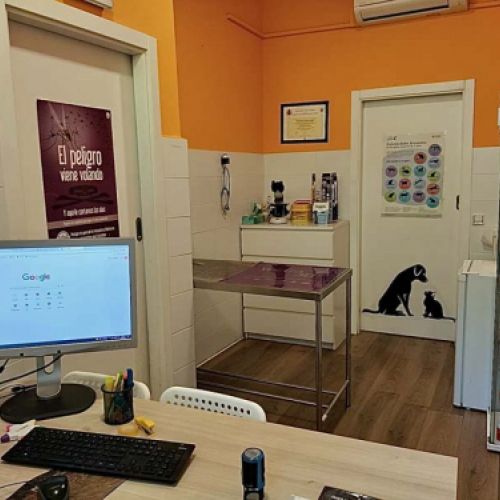 Vista general de la consulta veterinaria