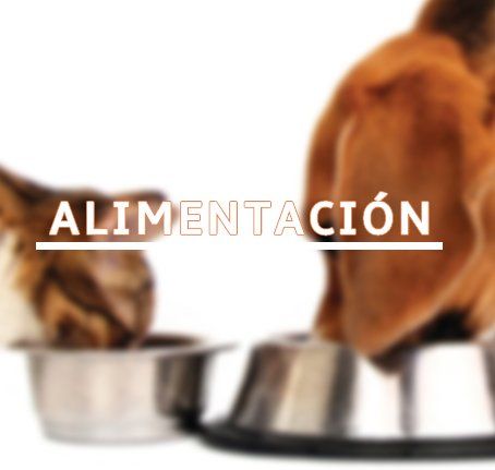 Alimentación para mascotas